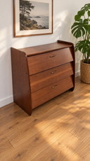 Vintage Scandinavian design shoe cabinet
