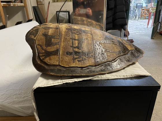 Image 1 of Decoración de pared de tortuga