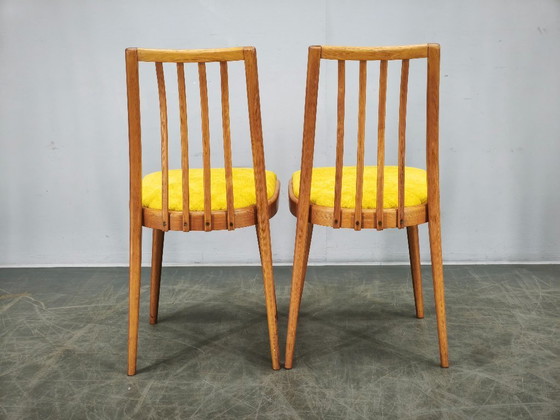 Image 1 of Ensemble de 4 chaises de salle à manger TON en hêtre, style Mid-Century, Tchécoslovaquie, années 1970