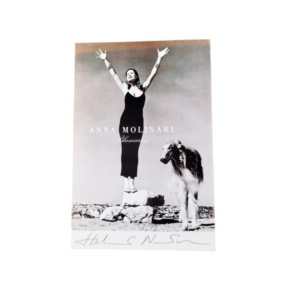 Image 1 of Photographie emblématique d'Helmut Newton | photo signée | Anna Molinari Carré Otis