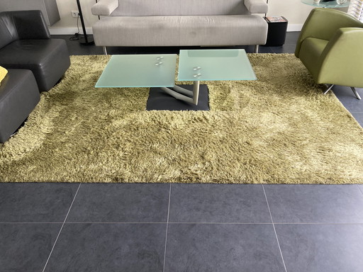 Vloerkleed Millenerpoort Eterno Groen 360x220