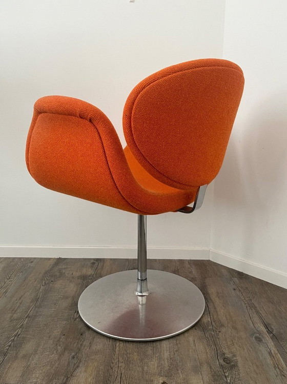 Image 1 of Artifort Little Tulip F163 Swivel Armchair