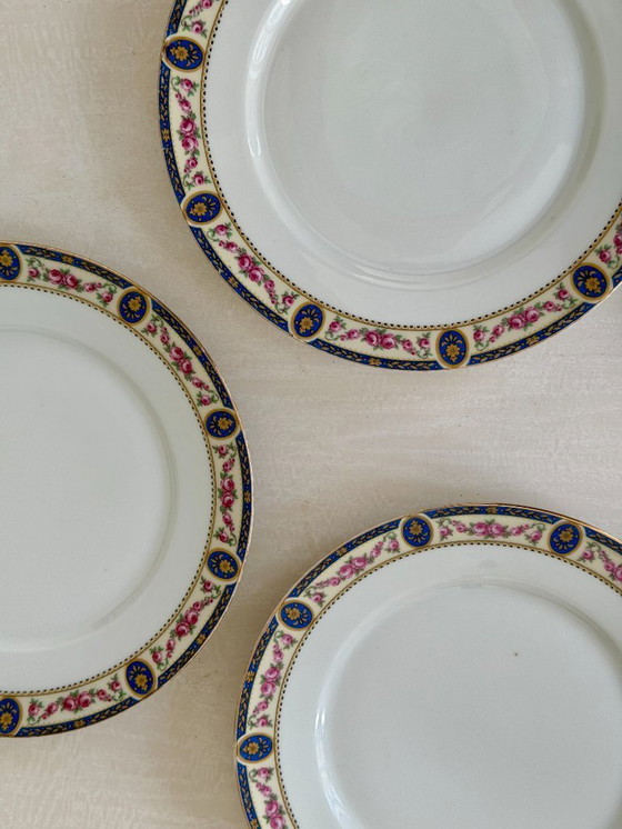 Image 1 of Set van 7 Limoges porseleinen borden, Frankrijk