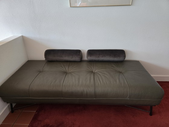 Image 1 of Lit de jour en cuir vert foncé