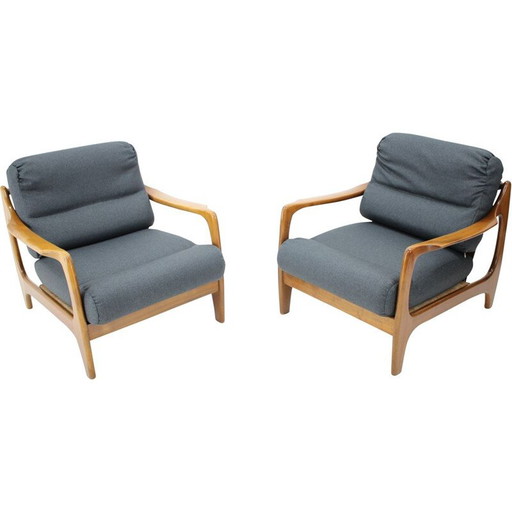 Coppia di poltrone vintage, Danimarca, 1960