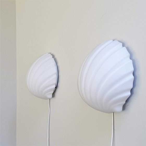 Image 1 of Pair Glashütte Limburg Shell Wall Lamps