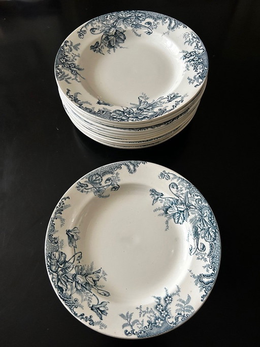 13 assiettes creuses Terre de Fer Cyclamens Louis Graves