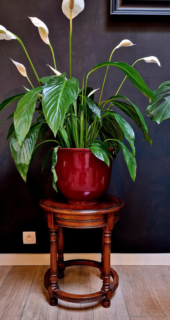 Image 1 of Mesa Flower Colección Royal Antique