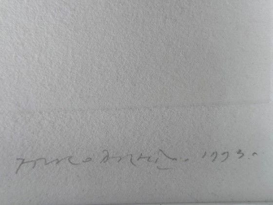Piero Dorazio acquatinta 1993 – Litografie e stampe, Carta (photo 6 of 6)
