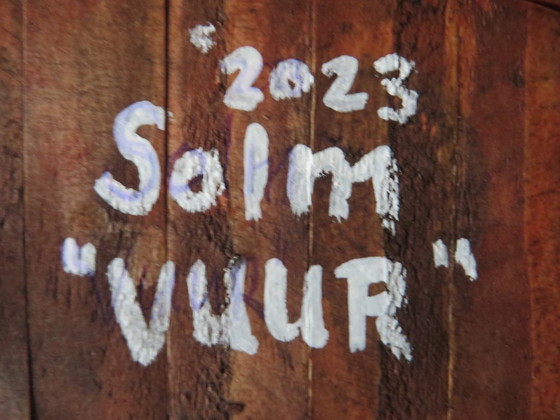 Image 1 of Eric van Solm - 'Fire'