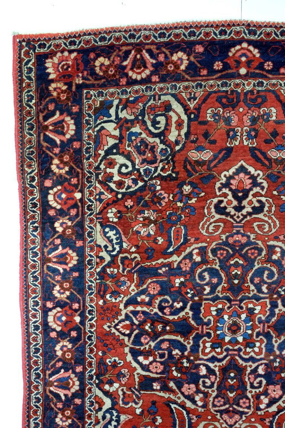 Image 1 of Beautiful Bachtiar from Iran