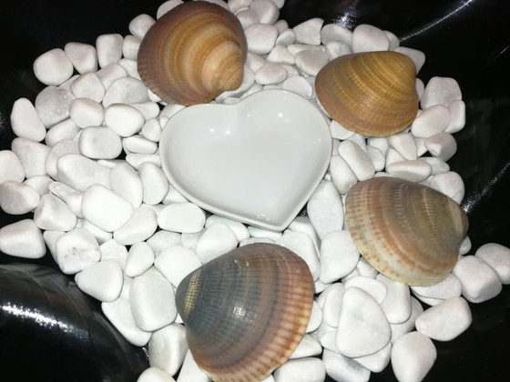 Image 1 of Disco in vinile vintage 33 giri "Zen Garden Shells and Heart Creation"
