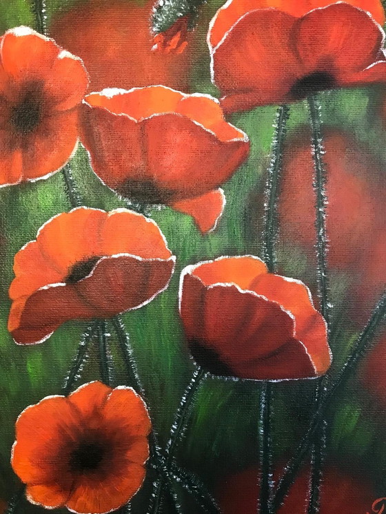 Image 1 of Pintura al óleo - Irina Gauss - Amapolas en verano