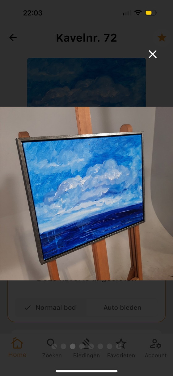 Image 1 of Maya wildevuur, klein werk 50x40 cm acryl schilderij. Atlantische oceaan