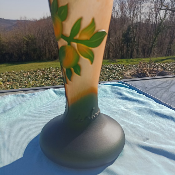 Image 1 of French Cameo glass vase - Vianne (Galle-style)