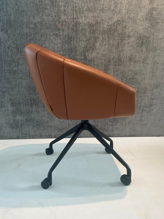 Image 1 of MONTIS Luna M0137