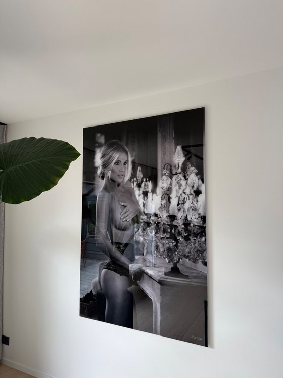 Marnix De Paepe – Fotografie, Plexiglas (photo 2 of 5)