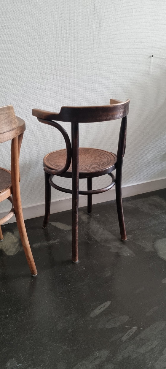 Image 1 of 2 Thonet stoelen