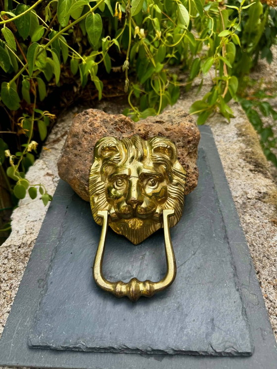 Gran aldaba de león en latón macizo Art Nouveau – Objetos decorativos, Brass (photo 2 of 5)