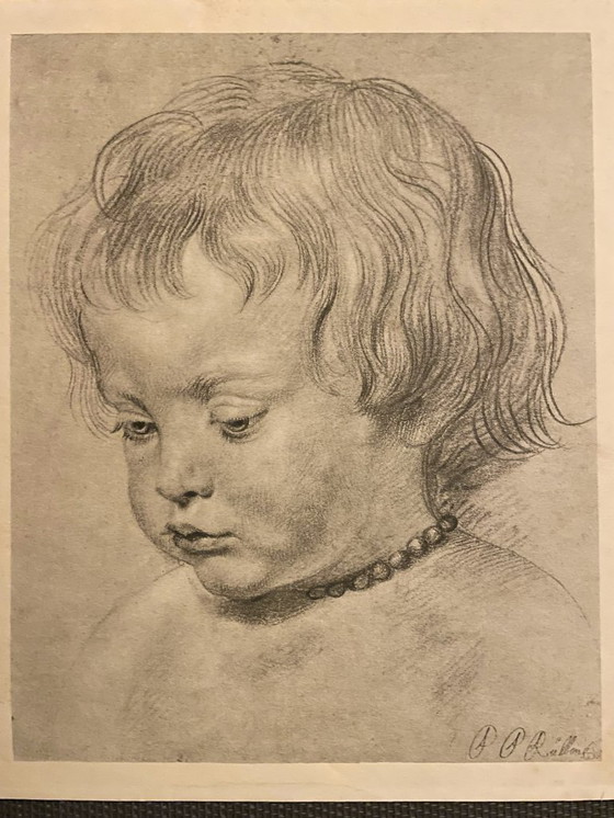 Image 1 of Pieter Paul Rubens (1577-1640) - Figlio Nicolas