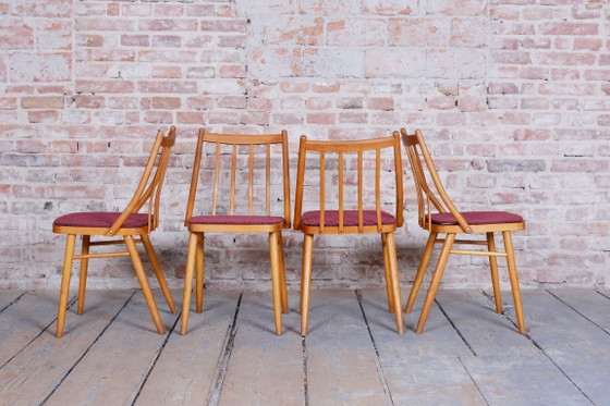 Set of Four Original Mid-Century Chairs, by Antonín Šuman, Beech, Czech, 1960s – Dining chairs, Textile, Wood (photo 9 of 10)