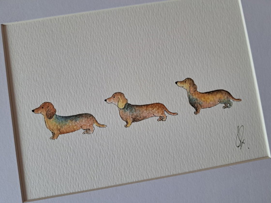 Original Aquarell Teckel | Mit Rahmen – Gemälde & Zeichnungen, Papier (photo 2 of 5)
