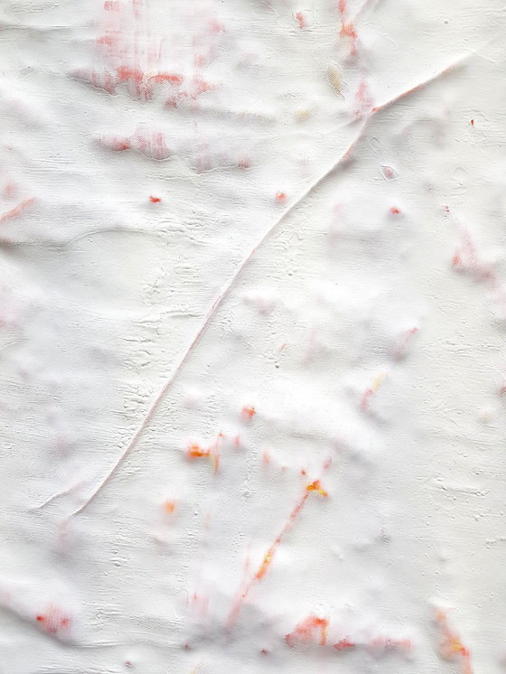 Image 1 of Jürgen Angeler - De uitgebreide witte