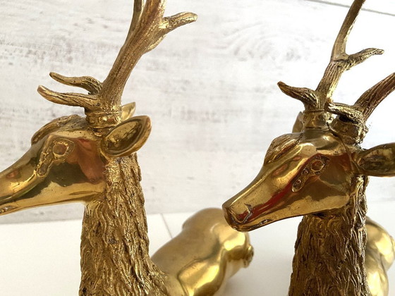 Image 1 of Beeldhouwwerk Beeldje Vintage Duo De Cerfs Brons Doré 1950 - 1960 Ontwerp