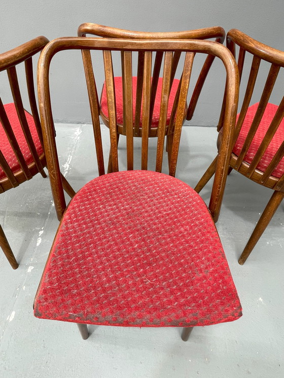 Image 1 of Antonín Šuman – Set of Chairs from the 1960s, Czechoslovakia