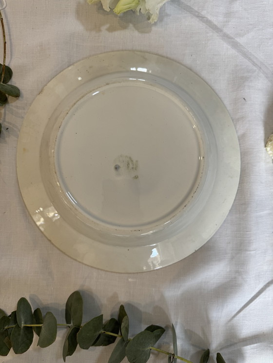 Image 1 of Plato hondo de ganso