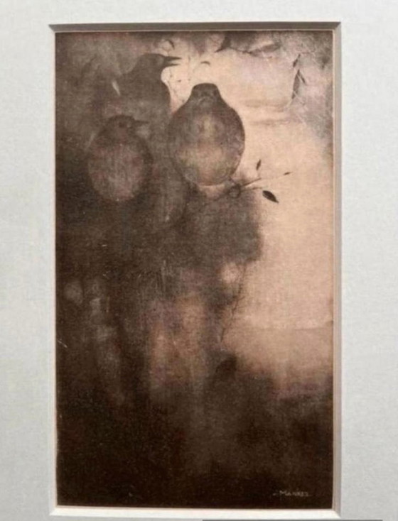 Image 1 of Jan Mankes 1889-1920 / Eliogravura originale Tordi in atmosfera serale 1923