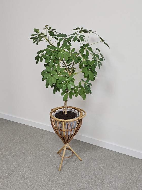 Cesto da cucito vintage in rattan, cesto per lavori, Porta piante, Beige (foto 10 di 11)