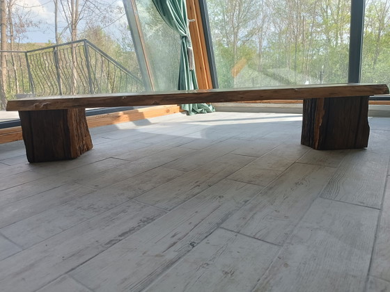 Image 1 of Sylvan Origin - Der Geist des ungezähmten Vermächtnisses