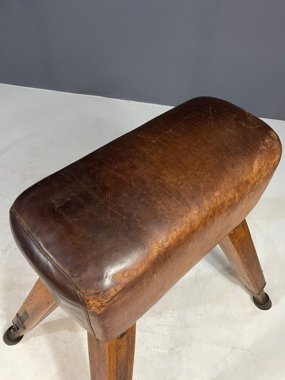 Image 1 of Gymnastik-Voltigierpferd, Tschechoslowakei, 1960er Jahre