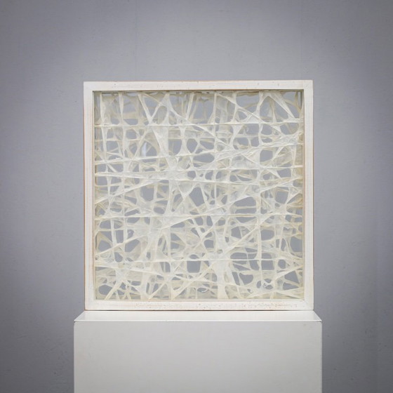 Image 1 of Organische vezelkunstcompositie in een glazen schaduwdooslijst, jaren 1990