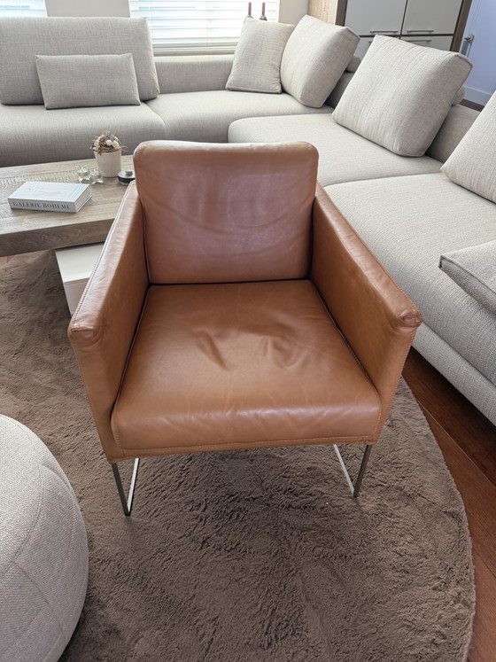 Bert Plantagie Armchair Pallas – Leather, Metal (photo 2 of 5)