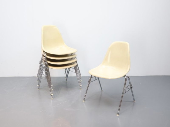 Sedia da pranzo vintage / fibra di vetro metallo / metallo ecru / set di 6 DSS Eames – Herman Miller (photo 4 of 5)