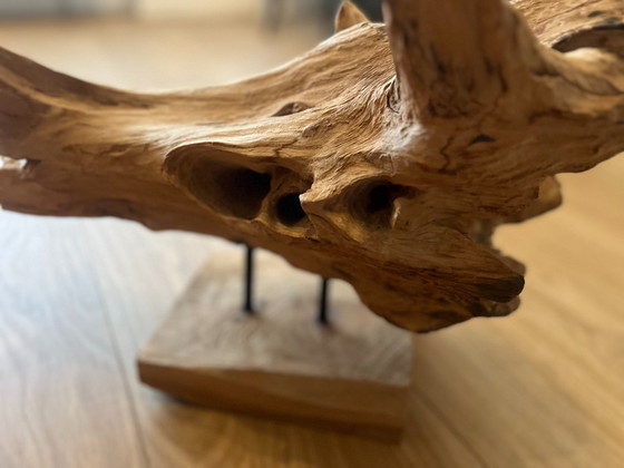 * Uniek Stuk Driftwood, Drijfhout, Teak Wortel Haai – Decoratieve objecten (photo 7 of 9)