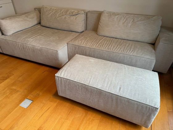 Image 1 of Mountain Lord 18