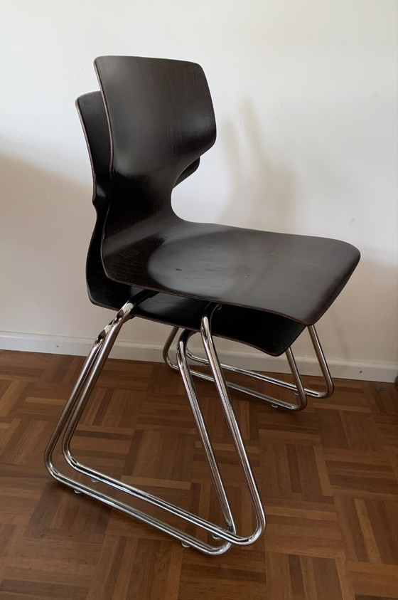 Image 1 of Sedie da pranzo Flototto