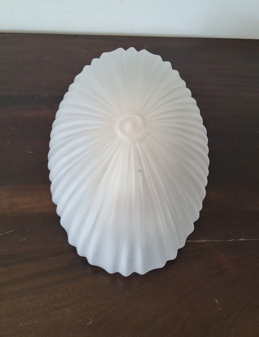 Lámpara de techo Schelpvormige