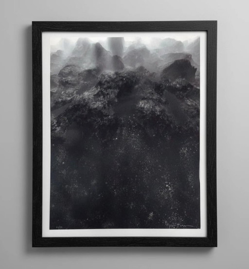 JOAN FONTCUBERTA, Lithographie mit Texturen retuschiert - Größe 95 x 74 cm. – lithos zeefdrukken, Paper