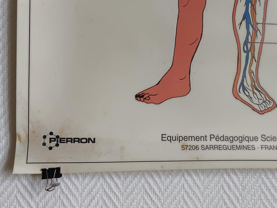 Image 1 of Schoolposter Mens en verkeer 1995