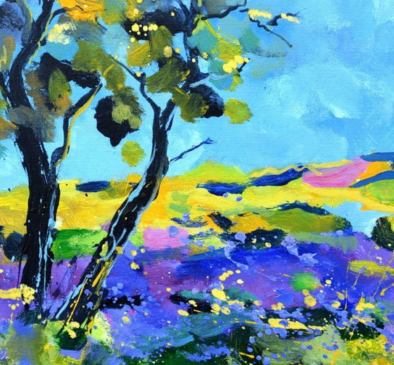 Image 1 of Summer 4426