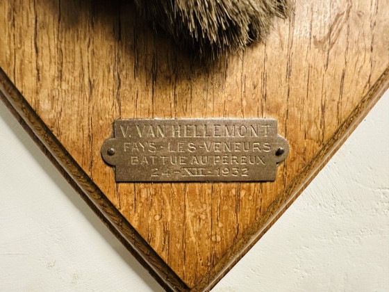 Cervo Nobile Antico Impagliato – Decorazioni murali, Legno, Altro (photo 15 of 15)