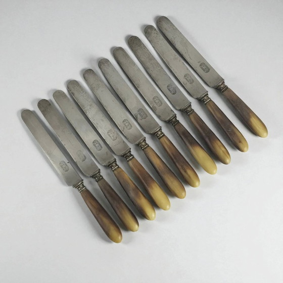 11 Coltelli Corno e Acciaio TD Paris – Set di posate, polished steel, Art Deco (photo 8 of 8)