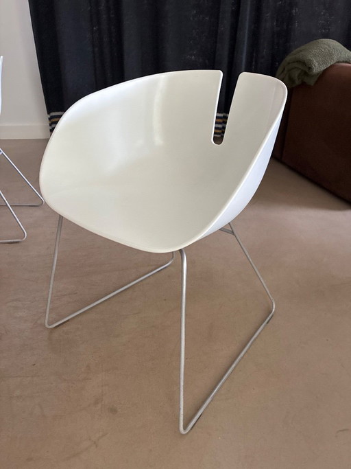 6 sillas Moroso blancas