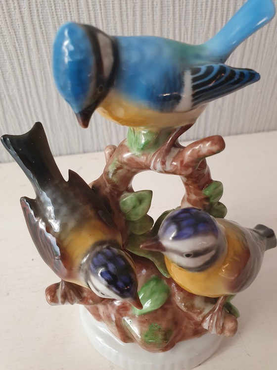 Statuetta in porcellana – 3 Cinciallegre – Gerold Porzellan Bavaria – Oggetti decorativi, Porcelain (photo 6 of 13)