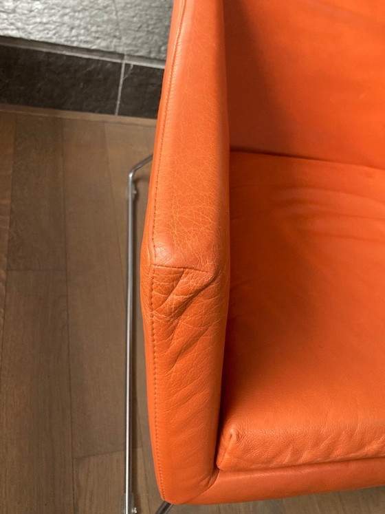 Image 1 of 2x Label chairs DON cognac Gerard van den Berg