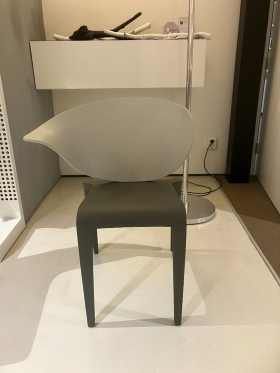 Image 1 of Stoel Boom Rang van Driade